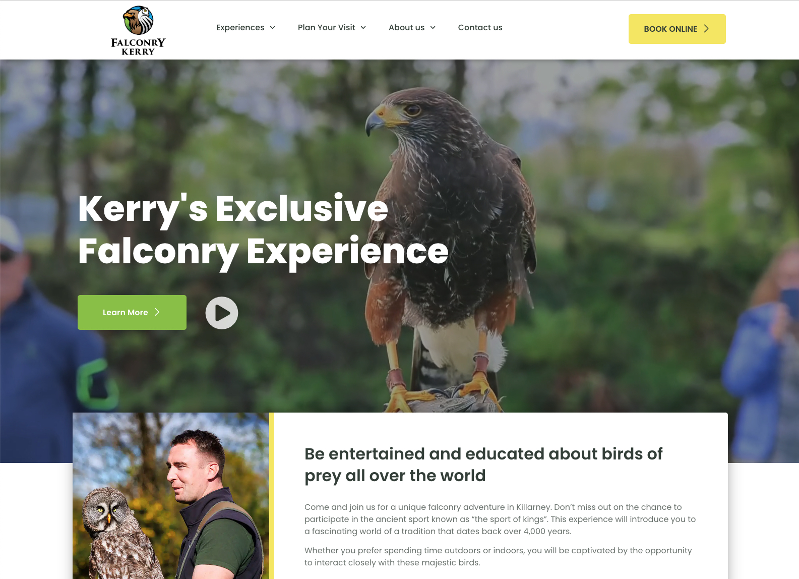 Falconry website design Ireland