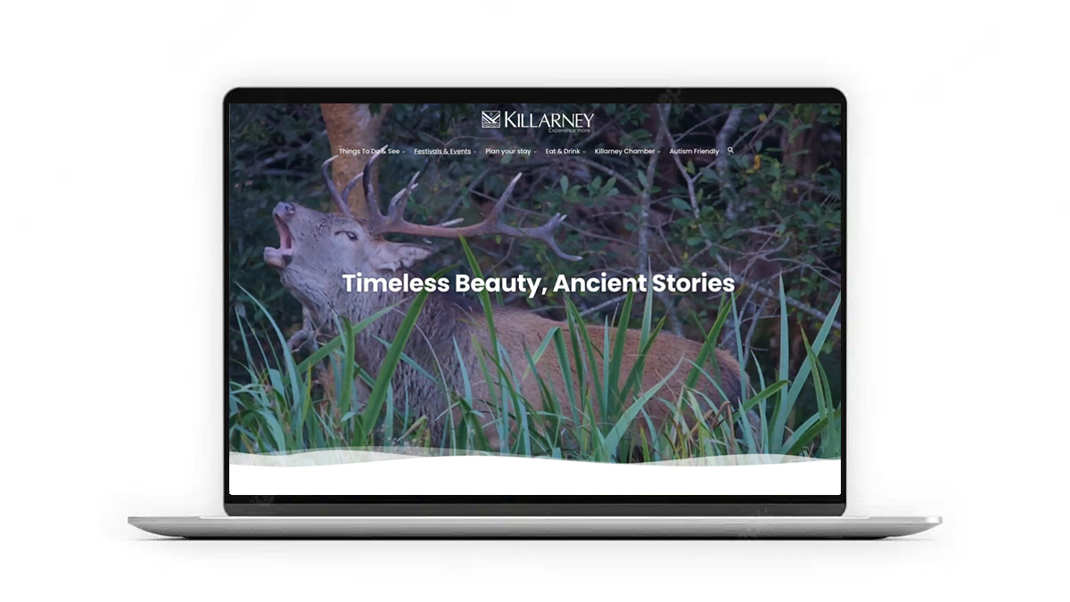 Killarney-Web-Design