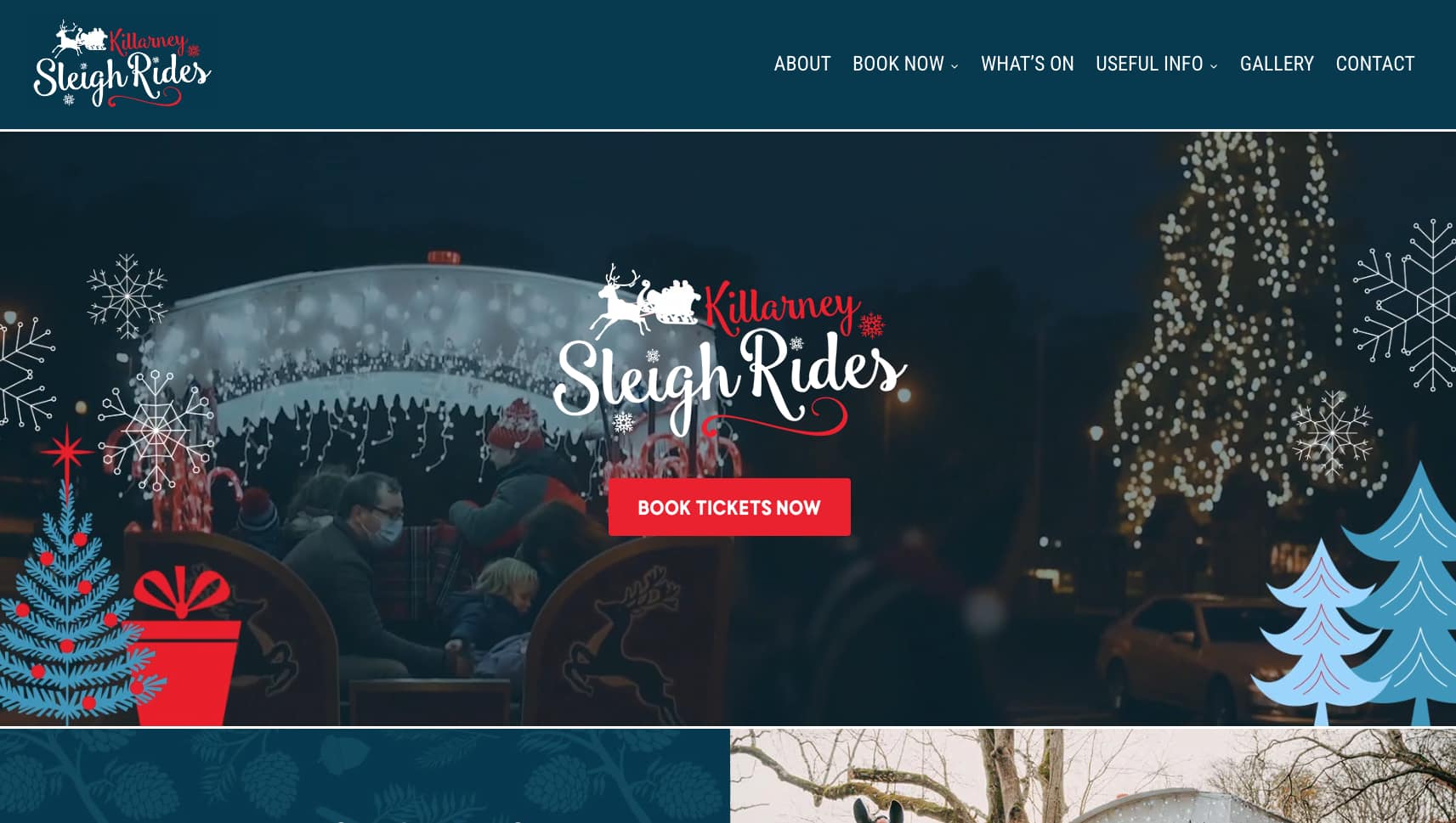 Web Design Agency in Dublin, Ireland